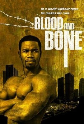 1blood Blood And Bone STV DVDRip XviD ViSiON