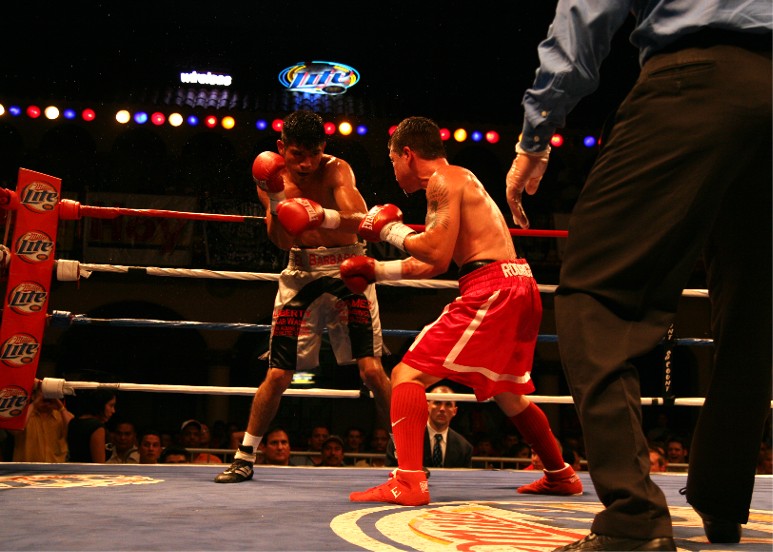 1IMG_7268 (115k image)