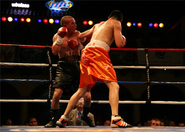 1IMG_7678 (96k image)