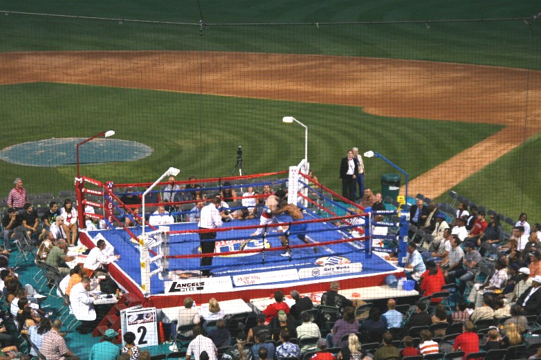 1IMG_7828 (158k image)