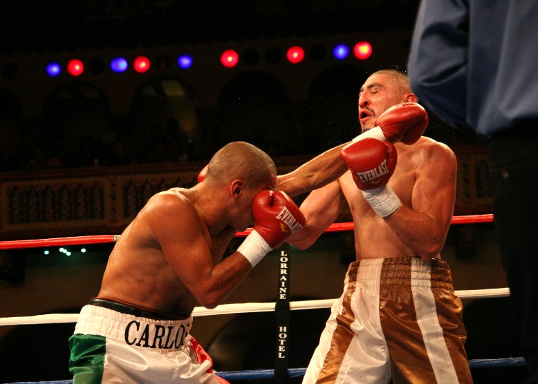 1IMG_8212 (106k image)