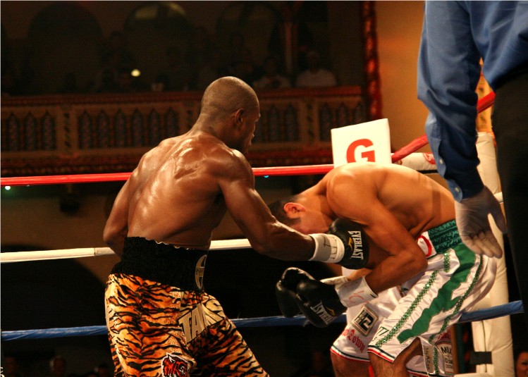 1IMG_8395 (113k image)