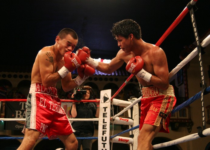 1Landero (100k image)