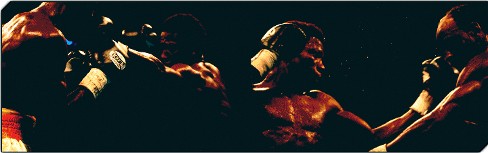 AMiranda (21k image)