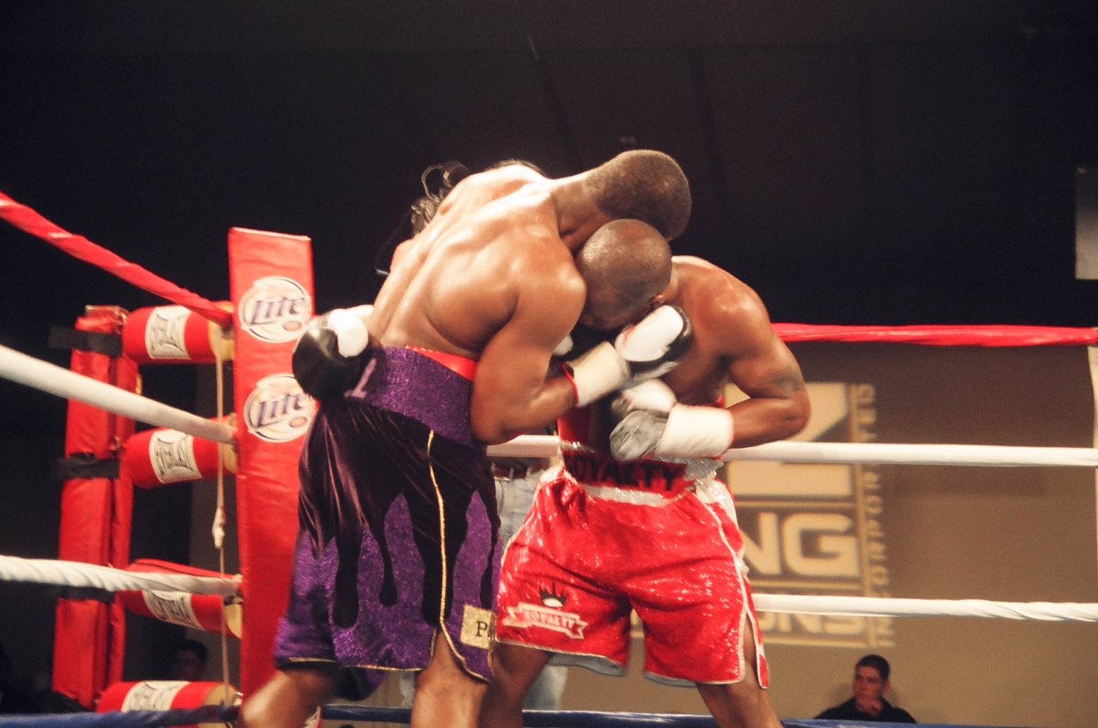 Bellinside (1342k image)