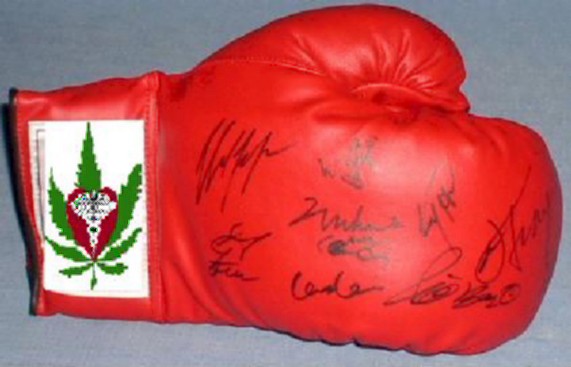 Boxglove (41k image)