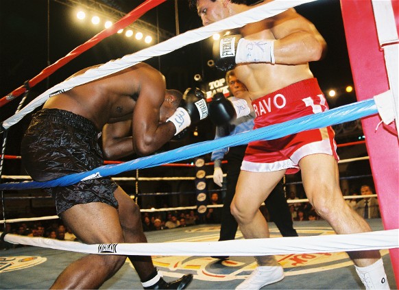 BravoSwarms (90k image)