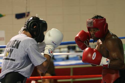 DLHmOSely (19k image)