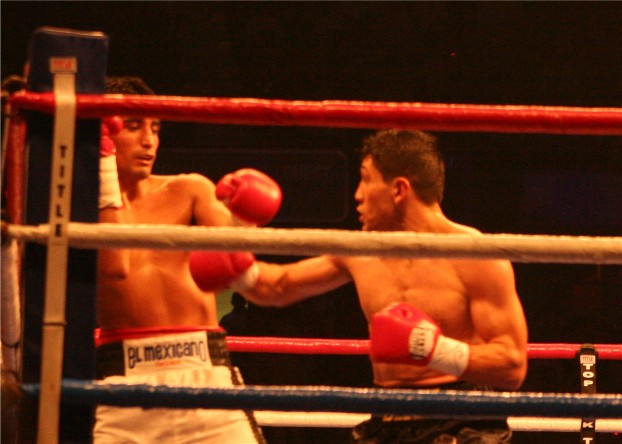 DiazSur1 (71k image)