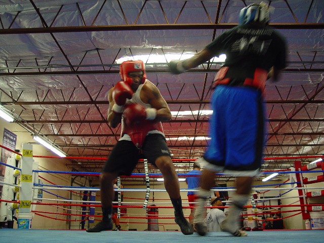 DomGuinnStalksToughTopaz1 (114k image)