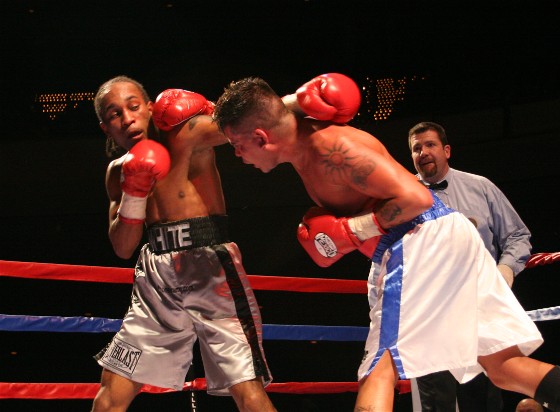 GalvanTags (66k image)