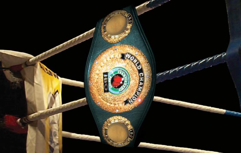 IBORingpost (47k image)