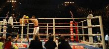 InternetBoxingHeader (8k image)